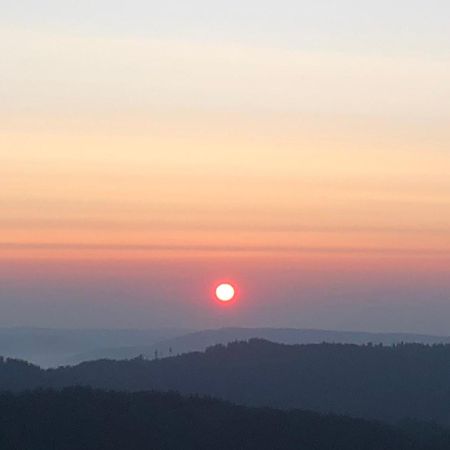 Forest Apartment-Mountain Escape Menzenschwand ซังคท์บลาเซียน ภายนอก รูปภาพ