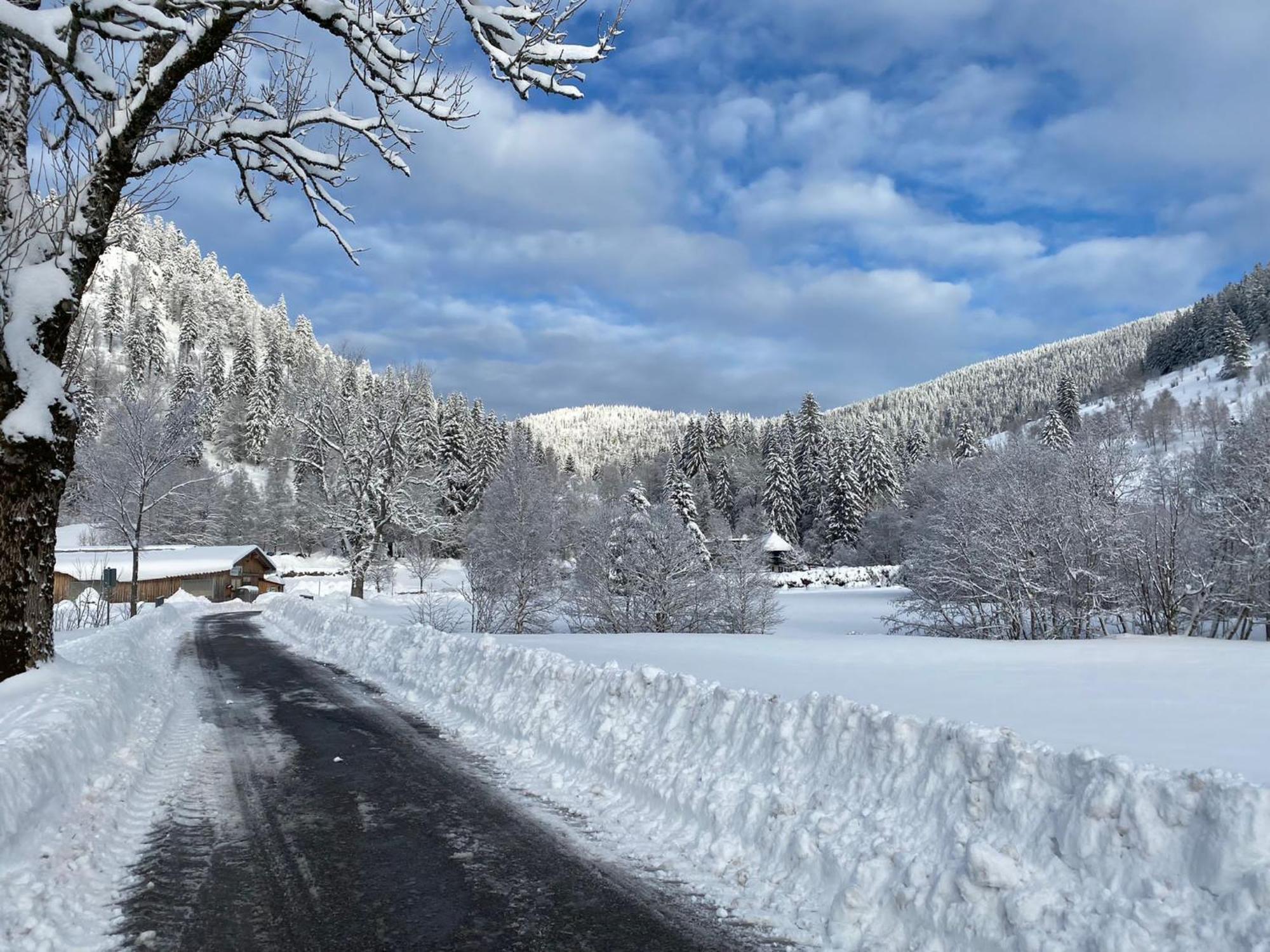 Forest Apartment-Mountain Escape Menzenschwand ซังคท์บลาเซียน ภายนอก รูปภาพ