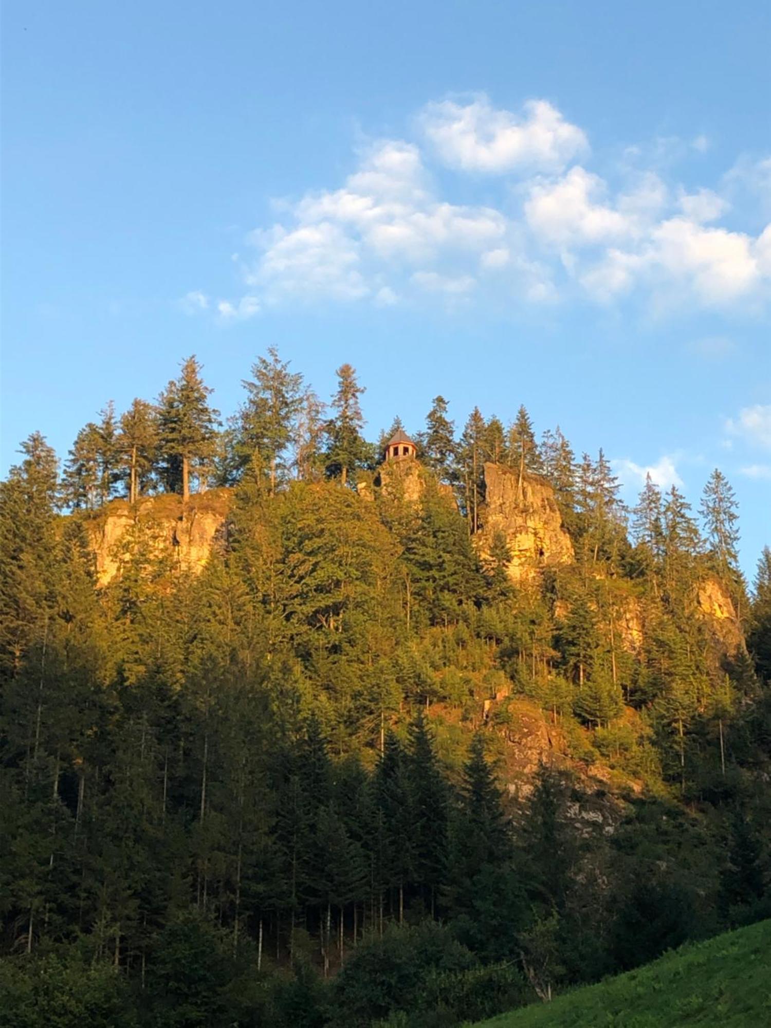 Forest Apartment-Mountain Escape Menzenschwand ซังคท์บลาเซียน ภายนอก รูปภาพ