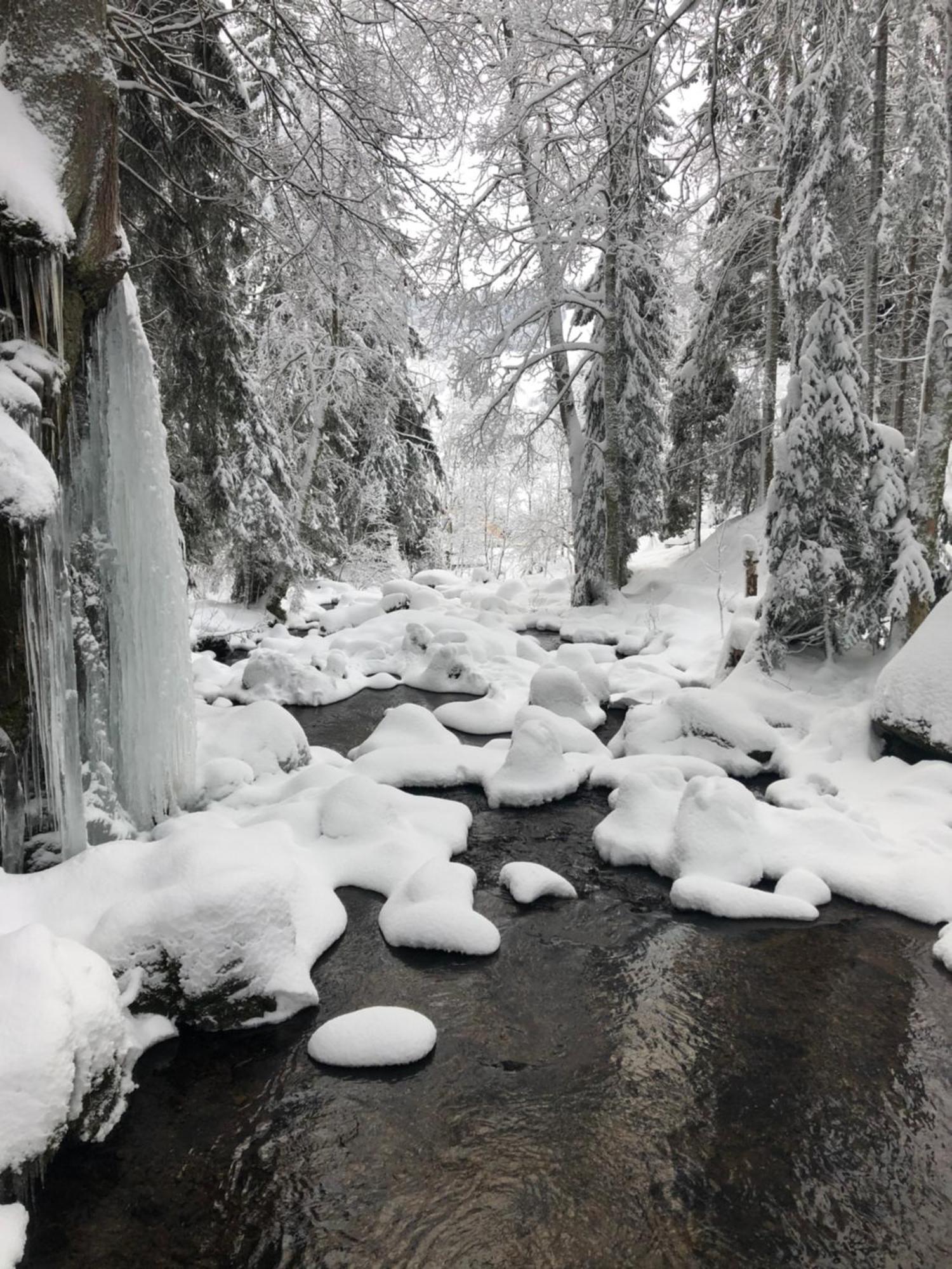 Forest Apartment-Mountain Escape Menzenschwand ซังคท์บลาเซียน ภายนอก รูปภาพ